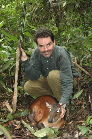 Gabon Duiker